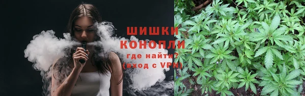 сатива Баксан